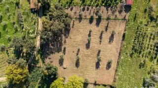Land for sale in Santa Comba Dão, Portugal — €10,000