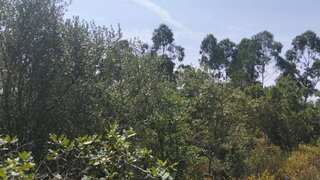 Terreno · 1760 m² · 5400 €