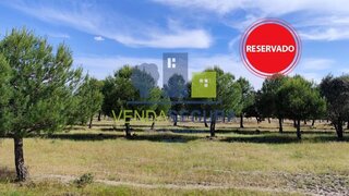 Land for sale in Moura, Portugal — €120,000