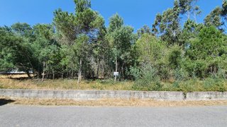 Land for sale in Carregal do Sal, Portugal — €25,000