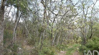 Land for sale in Ferreira do Zêzere, Portugal — €7,750