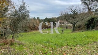 Land for sale in Vila Nova de Poiares, Portugal — €30,000