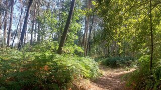 Land for sale in Amares, Portugal — €36,150