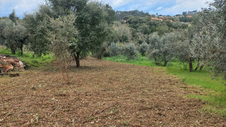Land for sale in Ferreira do Zêzere, Portugal — €19,500