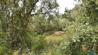 Land for sale in Ferreira do Zêzere, Portugal — €5,650