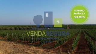 Land for sale in Moura, Portugal — €110,000
