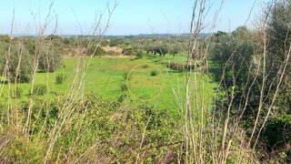 Land for sale in Torres Novas, Portugal — €60,000