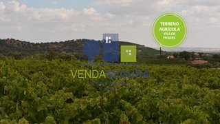 Land for sale in Moura, Portugal — €230,000