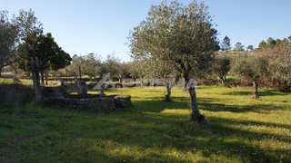 Terreno de 1040 m² em Castelo Branco