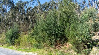 Land for sale in Vieira do Minho, Portugal — €39,000