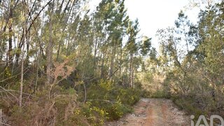 Land for sale in Ferreira do Zêzere, Portugal — €3,250