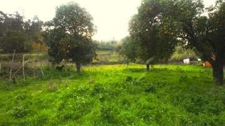 Terreno em Coimbra · 770 m² · 65 000 €