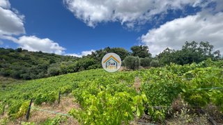 Land for sale in Vila Real, Portugal — €50,000
