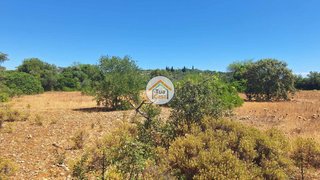 Land for sale in São Brás de Alportel, Portugal — €40,000