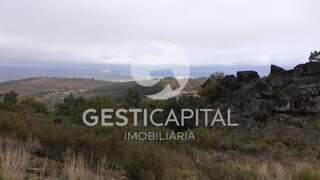 Terreno em Penedono