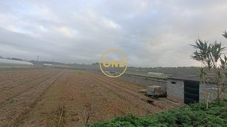 Terreno em Esposende