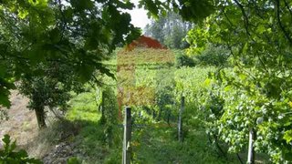 Land for sale in Vila Verde, Portugal — €35,000