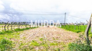 Land for sale in Estarreja, Portugal — €11,000