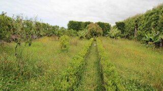 Land for sale in Ribeira Grande, Portugal — €250,000