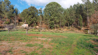 Land for sale in Arganil, Portugal — €55,000