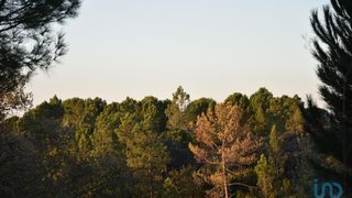 Land for sale in Ferreira do Zêzere, Portugal — €9,900
