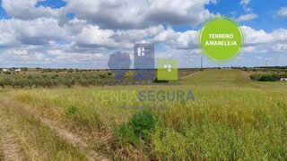 Terreno em Moura