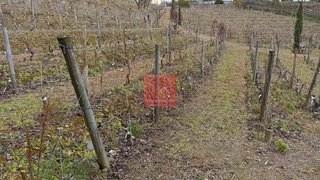 Land for sale in Peso da Régua, Portugal