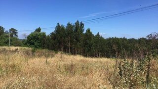 Terreno à venda em Leiria