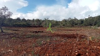 Land for sale in Silves, Portugal — €87,000