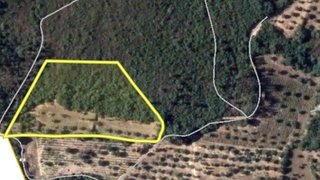 Land for sale in Ferreira do Zêzere, Portugal — €13,500