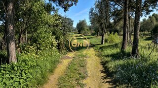 Land for sale in Torres Novas, Portugal — €20,000