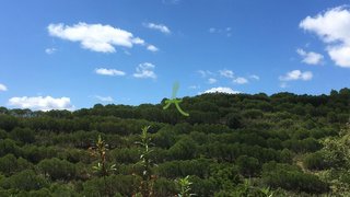 Land for sale in Silves, Portugal — €72,500