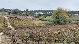 Land for sale in Mafra, Portugal — €24,500