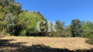 Land for sale in Vila Nova de Poiares, Portugal — €30,000