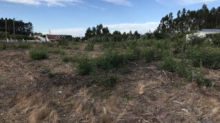 Land for sale in Ovar, Portugal — €135,000