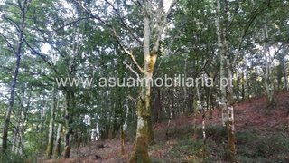 Land for sale in Amares, Portugal — €69,000