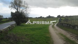 Terreno de 15 500 m² em Castelo Branco