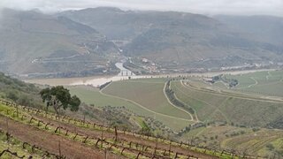 Land for sale in São João da Pesqueira, Portugal