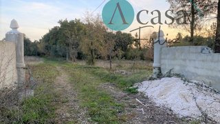 Land for sale in Ferreira do Zêzere, Portugal — €58,000