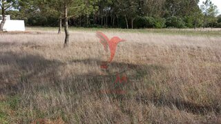 Land for sale in Ílhavo, Portugal — €65,900
