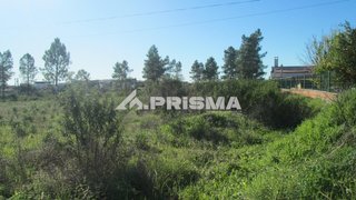 Terreno de 4400 m² em Castelo Branco
