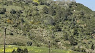 Land for sale in Alenquer, Portugal — €25,000