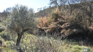 Land for sale in Ourém, Portugal — €8,400