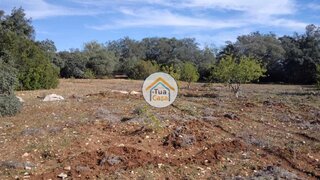 Land for sale in São Brás de Alportel, Portugal — €75,000