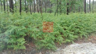 Land for sale in Barcelos, Portugal — €63,000