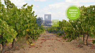 Land for sale in Moura, Portugal — €55,000