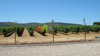 Land for sale in Estremoz, Portugal — €390,000