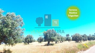 Terreno em Beja