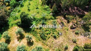 Terreno de 1360 m² em Castelo Branco