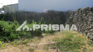 Terreno de 1500 m² em Castelo Branco